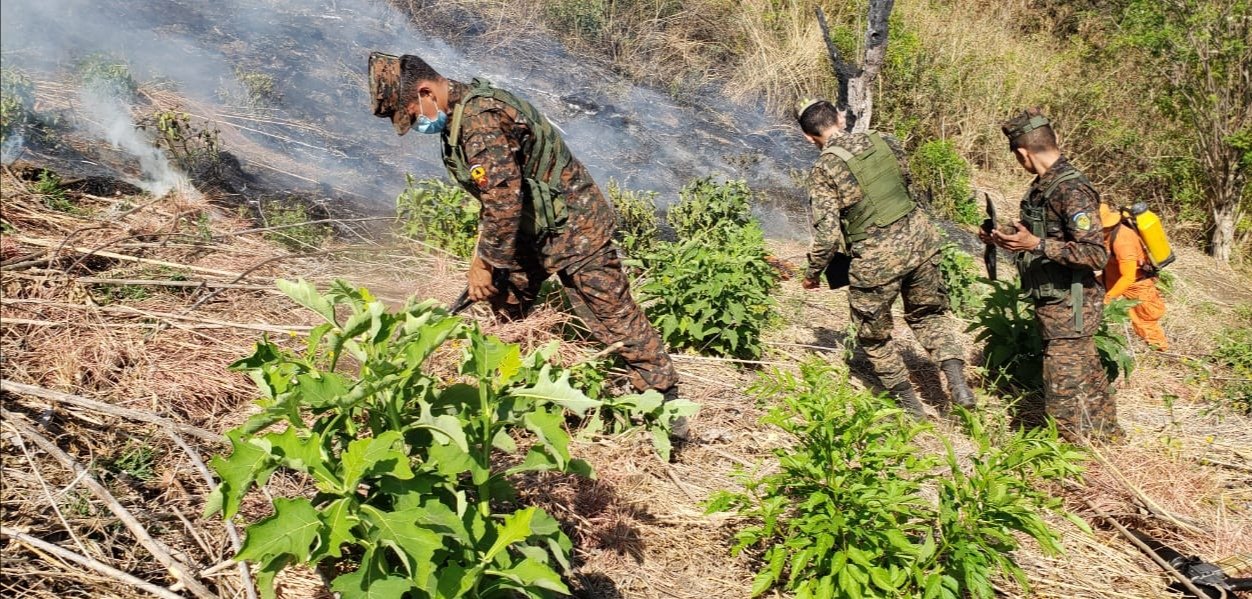 fuerza-armada-y-bomberos-trabajan-por-contener-incendio-en-zona-del-volcan-de-san-salvador